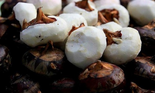 华莱健黑茶有几种茶-华莱健黑茶九大功效视网—知名的华莱健黑茶价格一览表2019网站,分享华莱健黑茶多少钱1000克知识